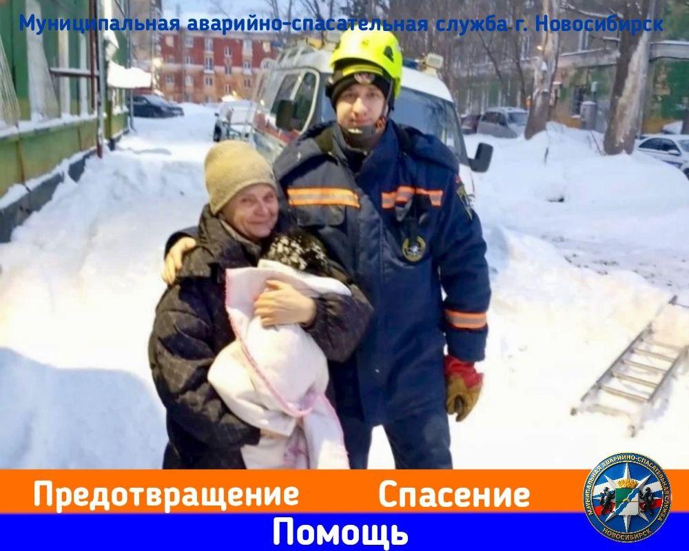 Фото В Новосибирске спасатели достали маленькую собаку из колодца 2